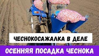 ОСЕННЯЯ ПОСАДКА ЧЕСНОКА  МОДЕРНИЗИРОВАННАЯ ЧЕСНОКОСАЖАЛКА В ДЕЛЕ