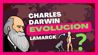 Teorías de la evolución | Fijismo, Lamarck, Darwin (Explicación 2025)