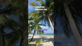Пророк Мухаммад صلى الله عليه وسلم #shorts #мухаммад #ислам #история #влог