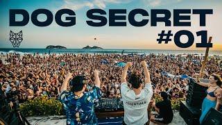 🟢 Dubdogz - DOG SECRET - #01 (Praia da Barra da Tijuca | K08, Rio de Janeiro, RJ)