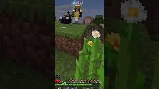 No we don't have sugar cane... #minecraft #bloodpact #twitch #smp #fyp #funny #fypシ゚  #shenanigans