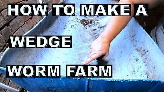 How to Start a New Wedge Style Worm Bin- European Night Crawlers