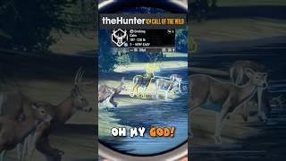 MAX SCORE WHITETAIL?!? The Hunter: Call of the Wild