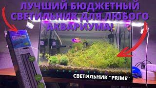 СВЕТИЛЬНИК "PRIME", КОТОРЫЙ ПОДХОДИТ ДЛЯ ЛЮБОГО АКВАРИУМА l ЛУЧШИЙ И БЮДЖЕТНЫЙ ВЫБОР АКВАРИУМИСТА!