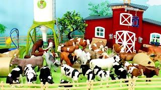 Horses Cows Bulls Farm Animal Figurines Collection