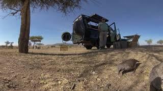 360 VR Birds Safari trip - Photos of Africa @livestreamnature @PhotosofAfrica @360ImageFilm.