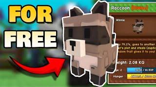 How to ACTUALLY get RACOON in GROW A GARDEN (FREE)  Grow a Garden Codes for Raccoon Pet