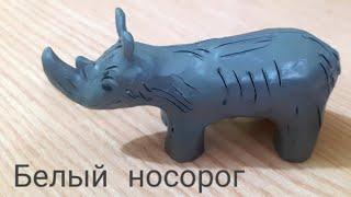 Лепим белого носорога