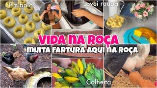 VLOGÃO AQUI NA ROÇA ‍| ROÇA TEM MUITA FARTURA  fiz bolo, lavei roupa, colheitas…