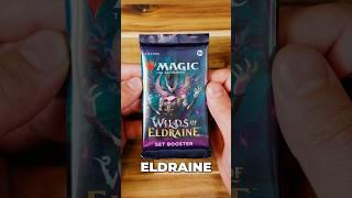 Wilds of Eldraine Set Booster for Day 451 ‍️ #eldraine #WOE #mtg #mtgaddicts #MagicTheGathering