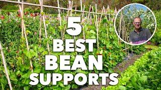 5 Best Bean Poles, Frames and Supports for Your Garden