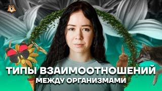 Типы взаимоотношений между организмами | Биология ЕГЭ 2022 | Умскул