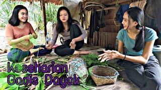 Gadis Dayak || Aktivitas sehari hari Gadis Desa Suku Dayak di Pondok Sawah