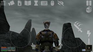 Morrowind: Кираса из шкуры Спасителя