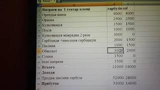 Рентабельність вирощування гарбузового насіння. Порівняння з соєю.