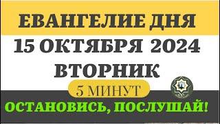 15 ОКТЯБРЯ ВТОРНИК ЕВАНГЕЛИЕ ДНЯ 5 МИНУТ АПОСТОЛ МОЛИТВЫ 2024 #мирправославия