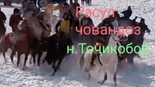 Бузкаши н.Тоҷикобод ҷ.Ширинчашма расул човандоз ай н. Точикобод д. Сарипул 2023с