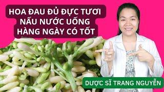 Hoa đu đủ đực tươi nấu nước uống hàng ngày có tốt hay không? | Dược Liệu | Dược Sĩ Trang Nguyễn