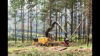 Tigercat 1185 Harvester in action