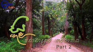 Seehela Nature Village | Elahera | Part 2