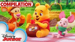 Playdate with Winnie the Pooh Shorts  | Compilation | @disneyjr