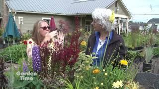 French Prairie Perennials - Perennial Design