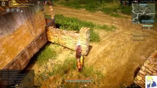 Black Desert Online Guides - Levels, Skill Points, Energy, and Contribution Points