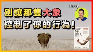 我們每個人，其實都欠自己一個解釋 | 《象與騎象人》心得