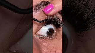 DIY lash extensions #diybeauty #lashtutorial #diylashextensions