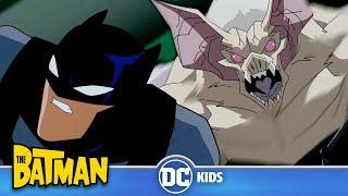 BEWARE The Man-Bat! | The Batman | @dckids