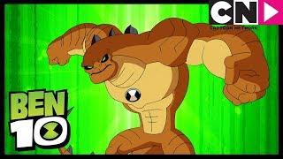 Ben 10 | Humungousaur Transformation - NEW ALIEN | This One Goes to 11 | Cartoon Network