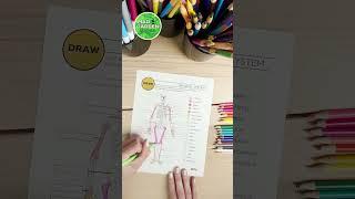 Skeletal System Resource  | Free Download #homeschoolscience #scienceactivity