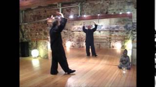 Taiji Qigong Shibashi 5. Set, Qigong Baden-Baden