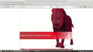 Use Certificates for HTTPS Content Inspection