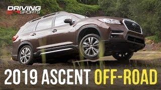 2019 Subaru Ascent Off-Road X-Mode Tested and Explained