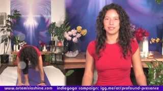 Artemisia Shine - Indiegogo Campaign: Phoenix Rising Yoga Therapy Training