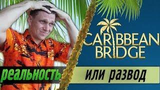 Carribean bridge реальность или развод