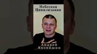 Пройди курс "Созерцательной Жизни". Андрей Яковишин.