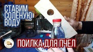 Соленая вода  для  пчел. Ставим поилки. Весенние развитие пчелиных семей