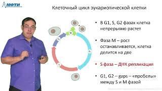 Лекция 2.4. Репарация ДНК и поддержание генома. Трофимов В.В., МФТИ (2021)