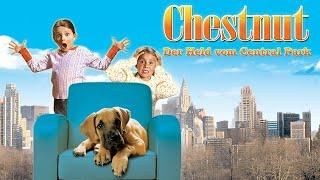 CHESTNUT: DER HELD VON CENTRAL PARK (GANZER FILM)