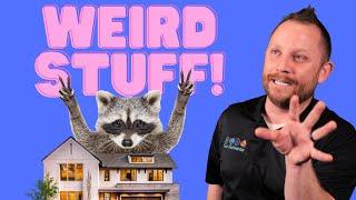 Weird Stuff! | The Weird Stuff We Find At Your House! | Eco Elements