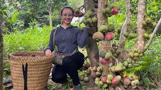 Harvest giant figs to sell at the market, garden and fish to grill