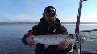 Seatroutfishing in inner Oslofjord