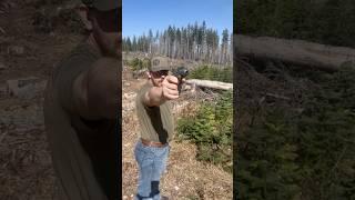 Walther PP, Pistol Showcase #shorts