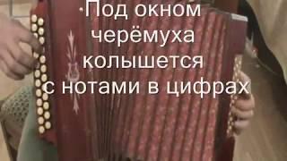 Под окном черёмуха колышется с нотами в цифрах