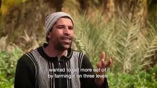 Pioneering Multi-level Farming in Tunisia