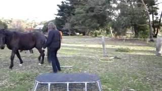 Yvonne-Dacio-groundwork-tasks