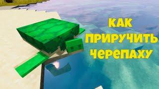 Как Приручить Черепаху в Майнкрафте? Черепахи в Minecraft