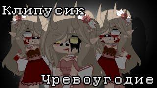 []×~клип~×[]||Чревоугодие||``️BLOOD️``